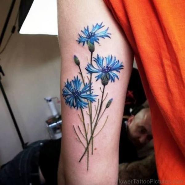 Cornflower back of arm tattoo