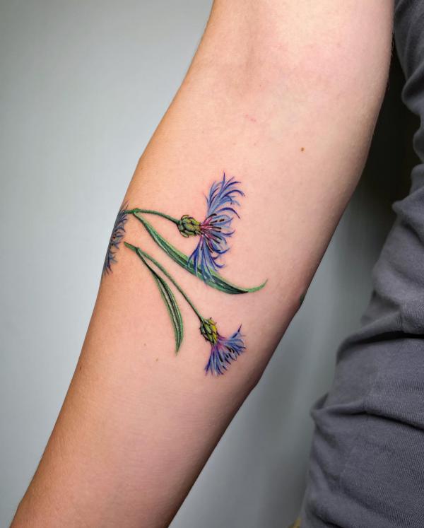 Realistic cornflower tattoo on forearm
