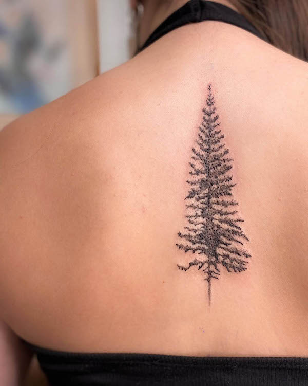 Evergreen tree back tattoo by @lilashleytattoos