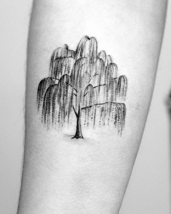 Willow tree tattoo by @tattoobymeg