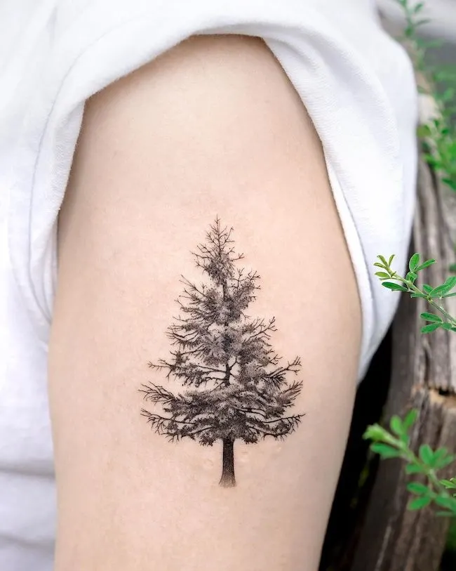 Tree tattoo by @choiyun_tattoo