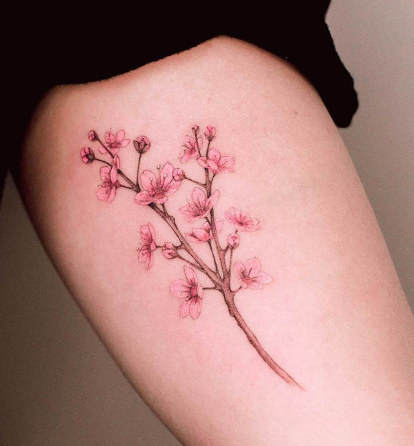 Cherry blossom tree tattoo by @marcelabadolattoo