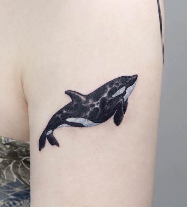 Realistic killer whale arm tattoo by @tattooist.onyx_