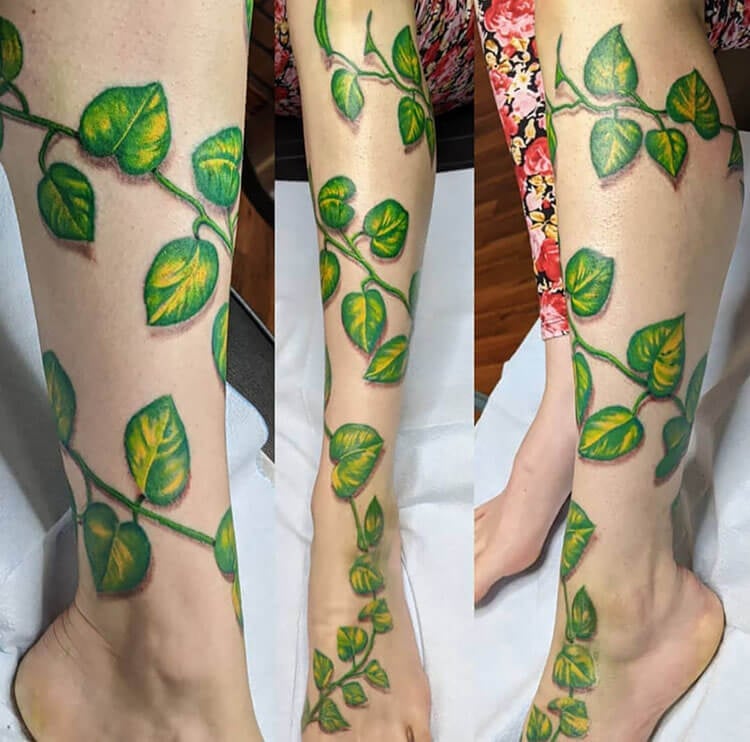 green leaves on leg