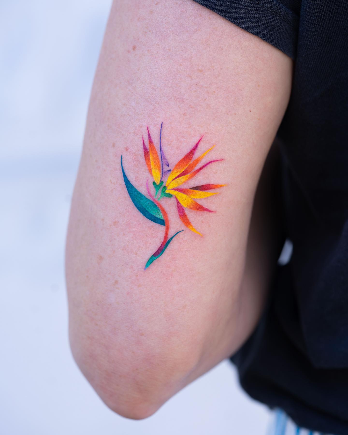 Watercolor style birds of paradise flower tattoo on the outer arm