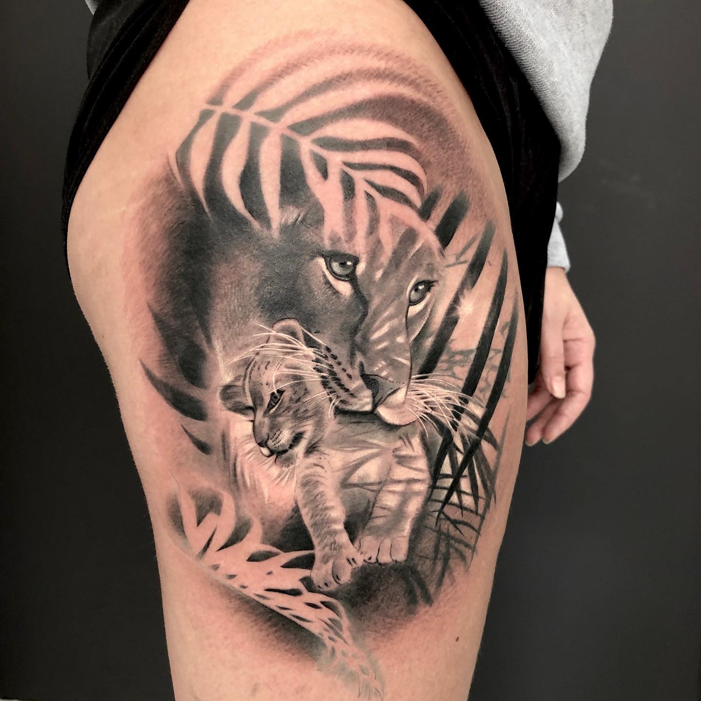 Black and grey lioness and cub tattoo on the thigh