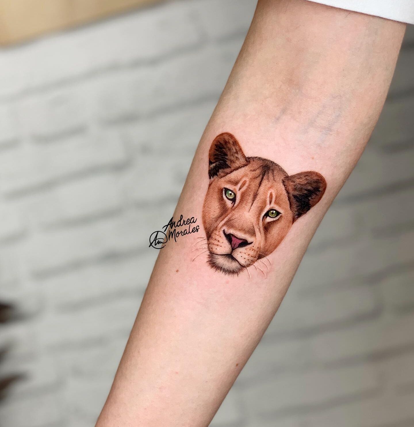 Micro-realistic style lioness portrait tattoo on the inner forearm