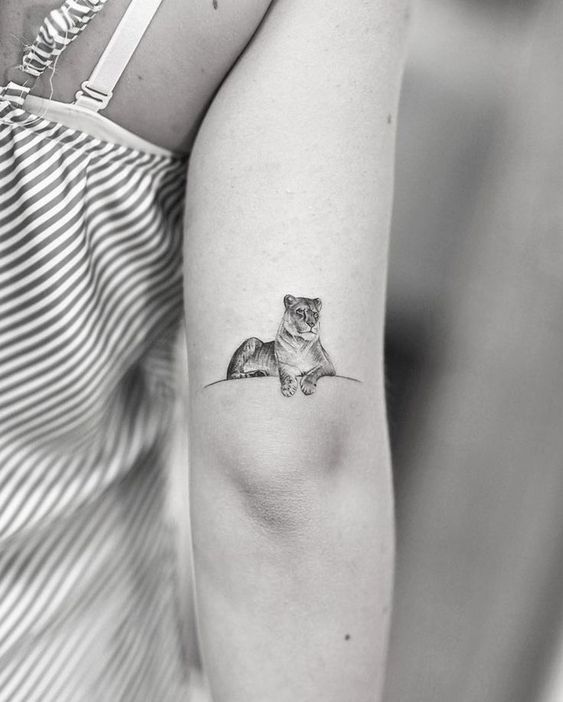 Illustrative style small lioness tattoo on the outer arm