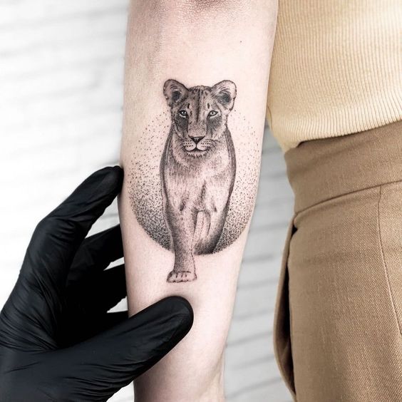 Illustrative style lioness tattoo on the forearm