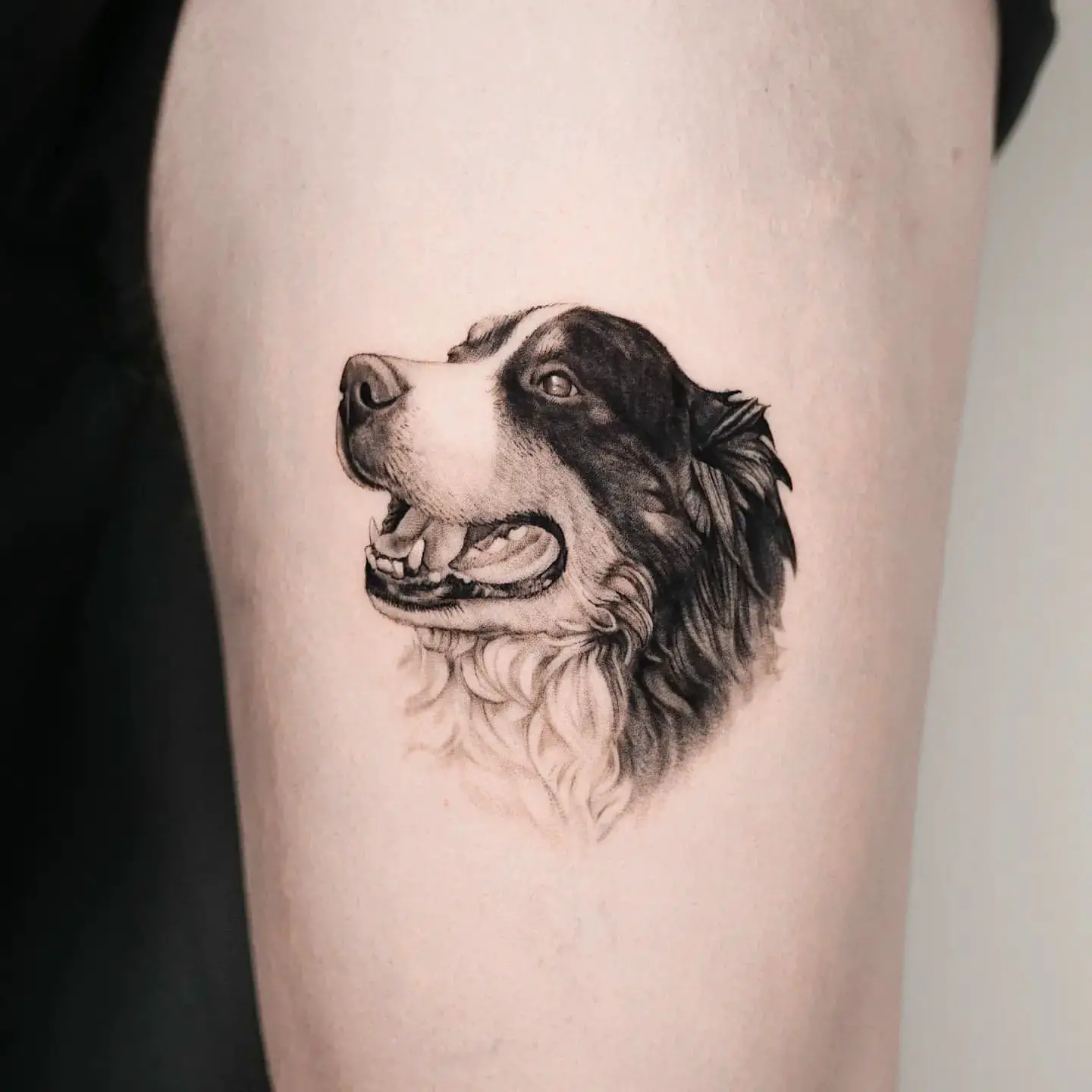 Dog Tattoo Ideas 2