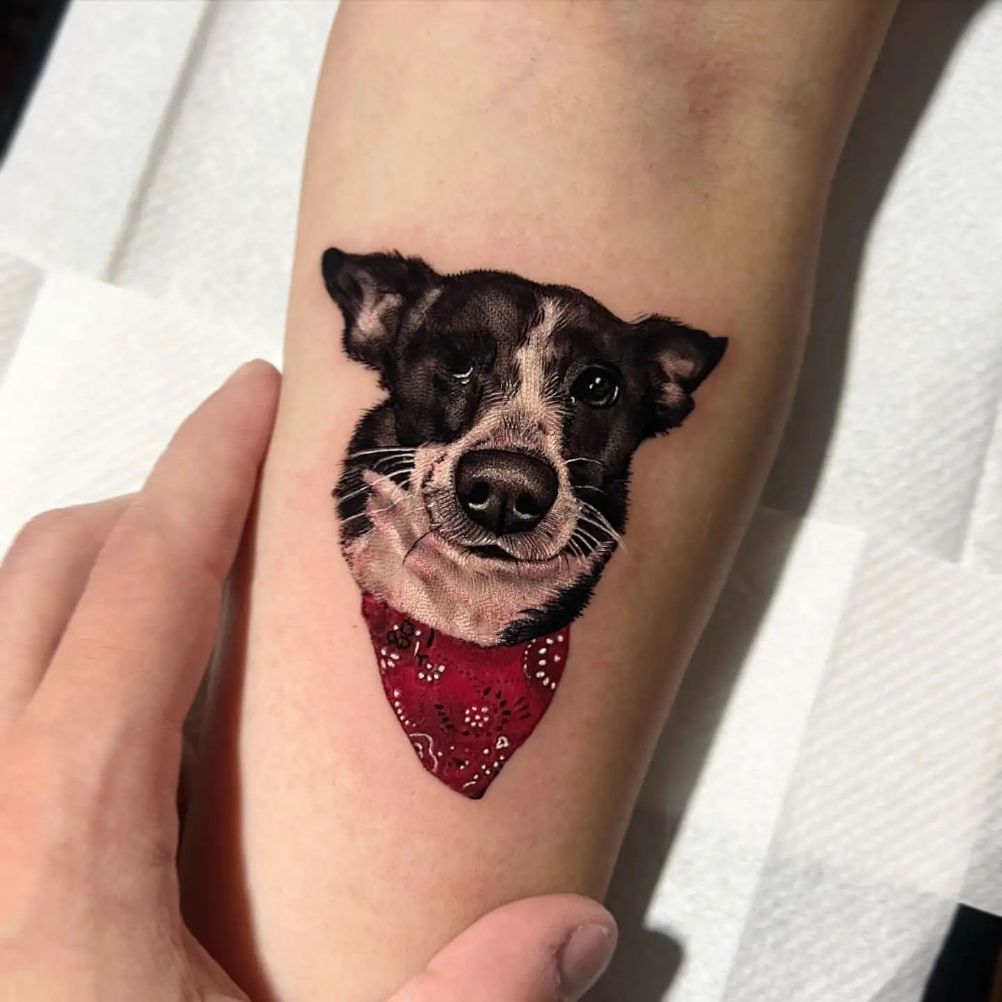 Dog Tattoo Ideas 18