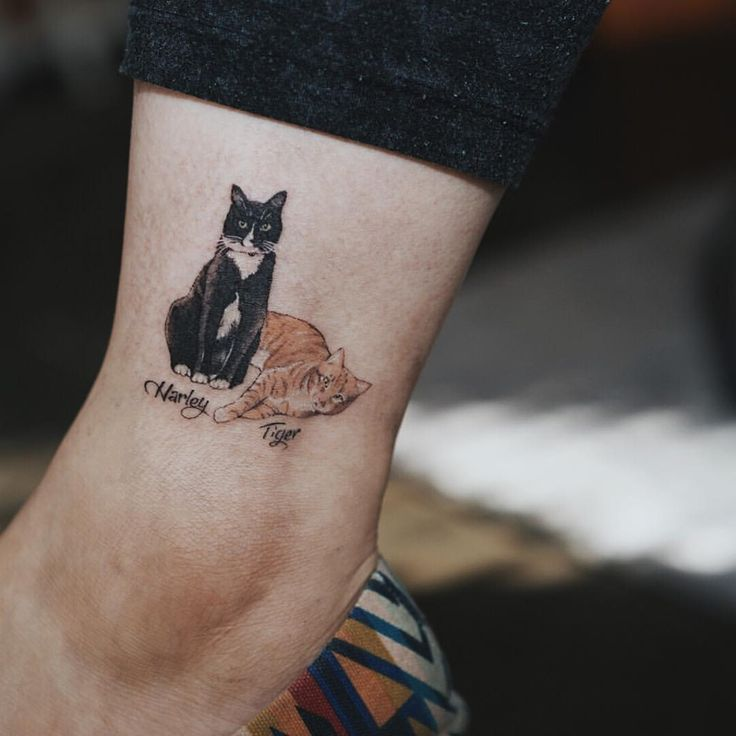 Two Cats Tattoo